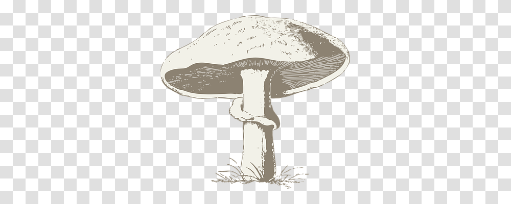 Mushroom Person, Plant, Agaric, Fungus Transparent Png