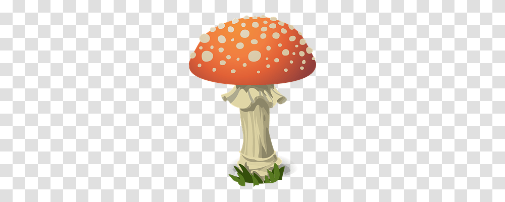 Mushroom Nature, Plant, Amanita, Agaric Transparent Png