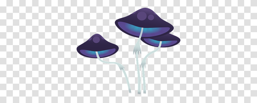 Mushroom Animals, Sea Life, Lamp, Invertebrate Transparent Png