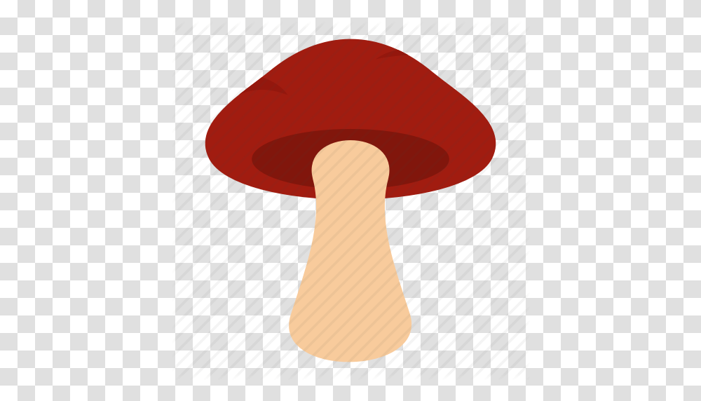 Mushroom Clipart Cooking, Plant, Lamp, Agaric, Fungus Transparent Png