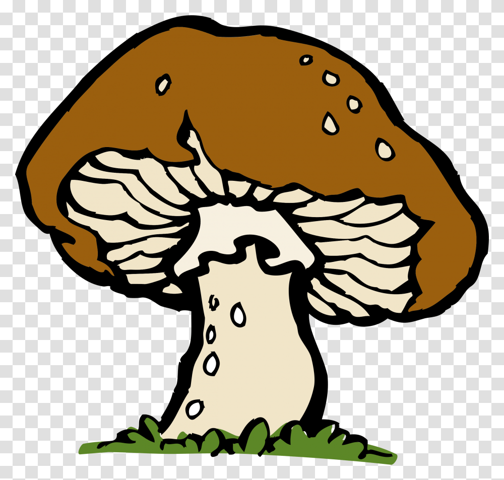 Mushroom Clipart Decomposer, Plant, Hair, Fungus, Agaric Transparent Png
