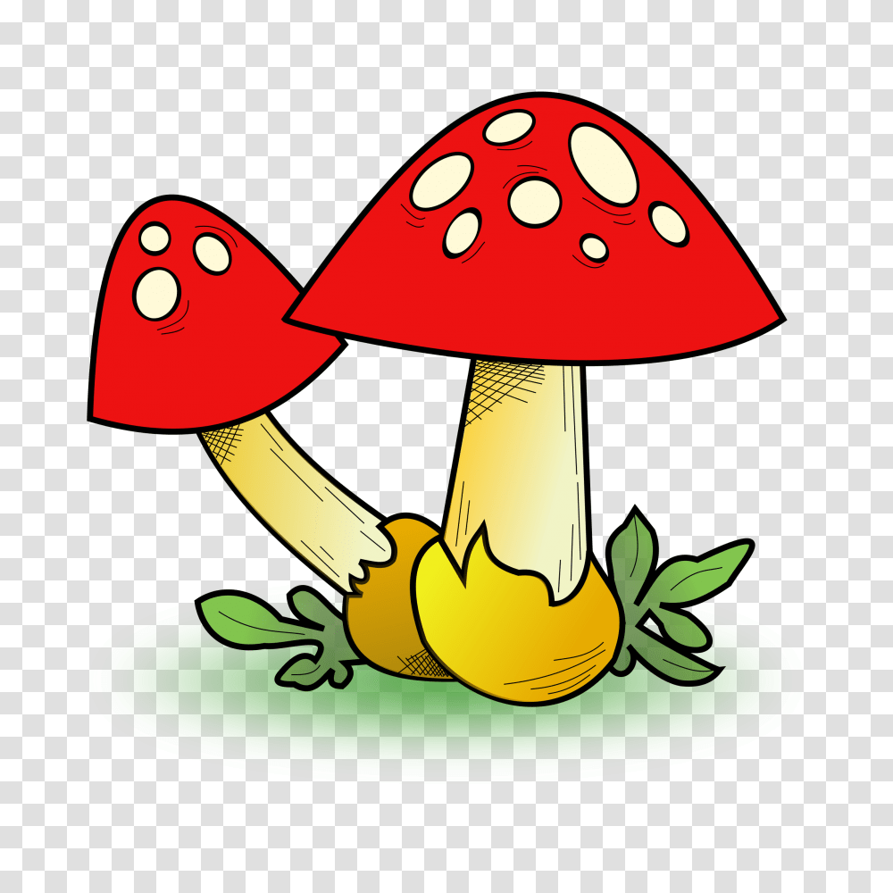 Mushroom Clipart Fungus, Plant, Agaric, Amanita Transparent Png