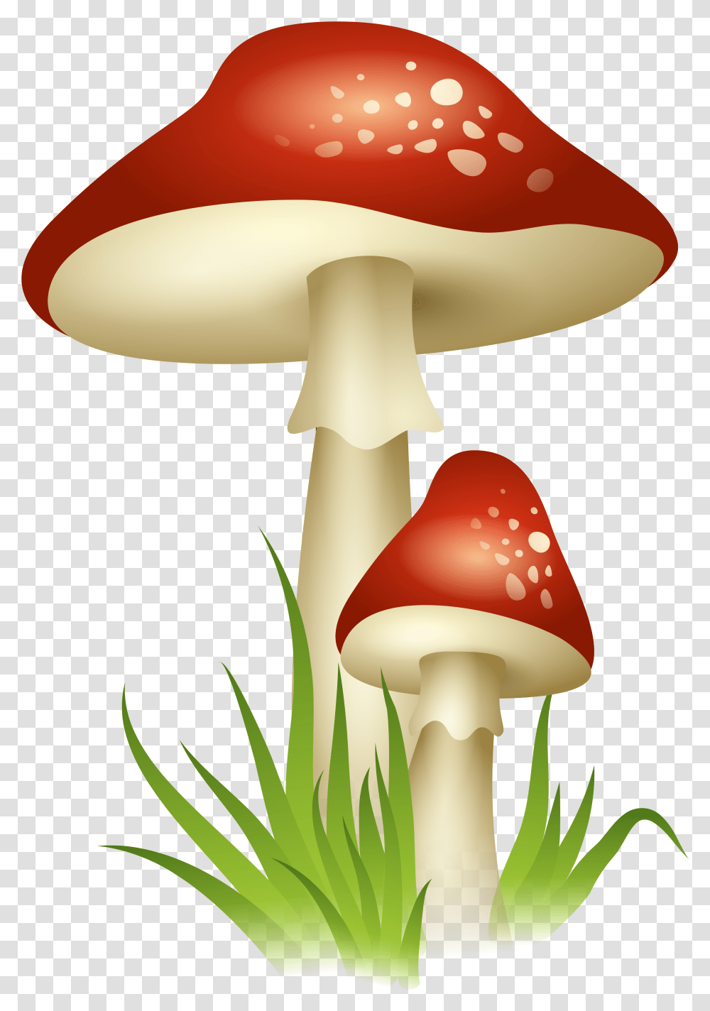 Mushroom Clipart, Plant, Amanita, Agaric, Fungus Transparent Png