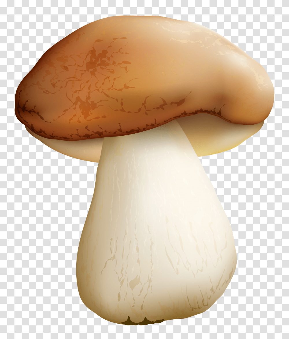 Mushroom Clipart, Plant, Fungus, Amanita, Agaric Transparent Png