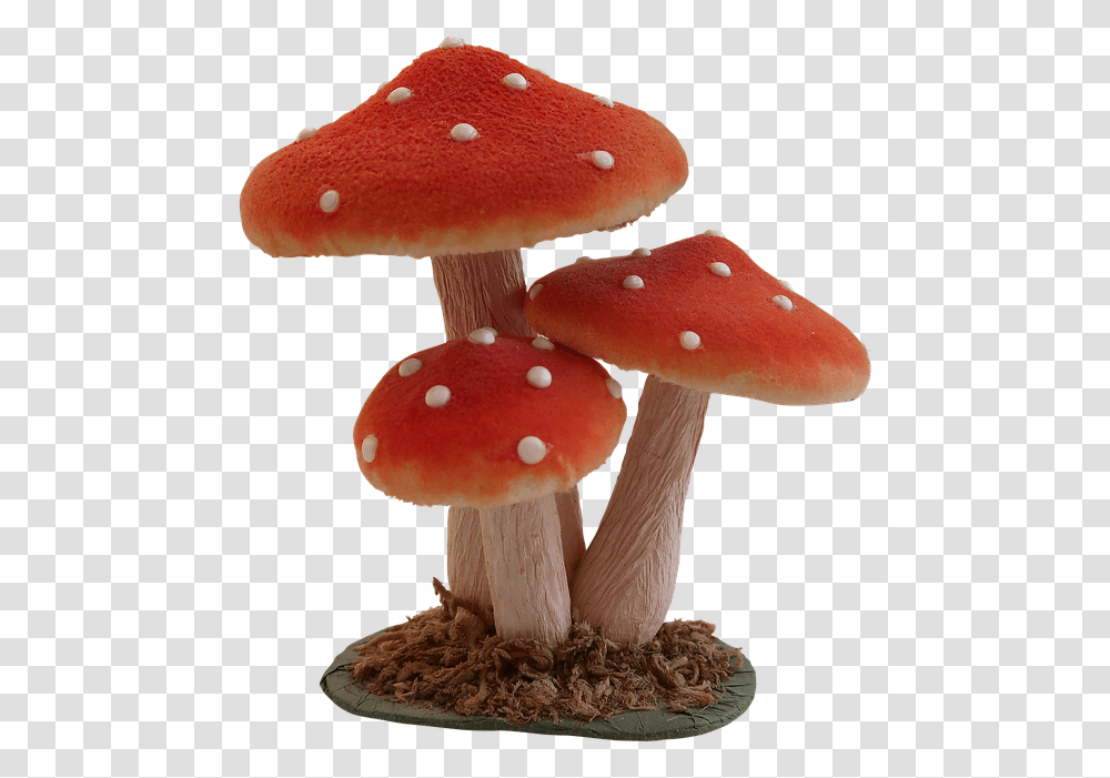 Mushroom Fly Agaric Forest Nature Autumn Toadstool Shiitake, Fungus, Plant, Amanita Transparent Png