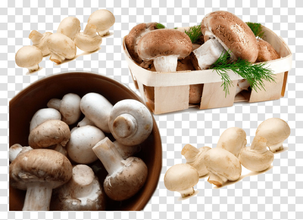 Mushroom Food Hd, Plant, Fungus, Agaric, Amanita Transparent Png