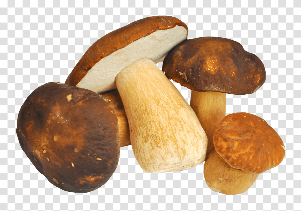 Mushroom, Food, Plant, Bread, Agaric Transparent Png
