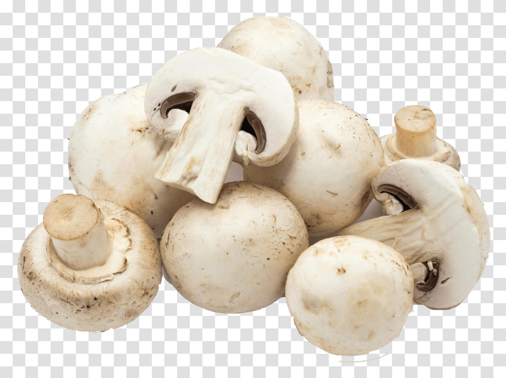 Mushroom Free Download White Mushroom, Plant, Fungus, Agaric, Amanita Transparent Png
