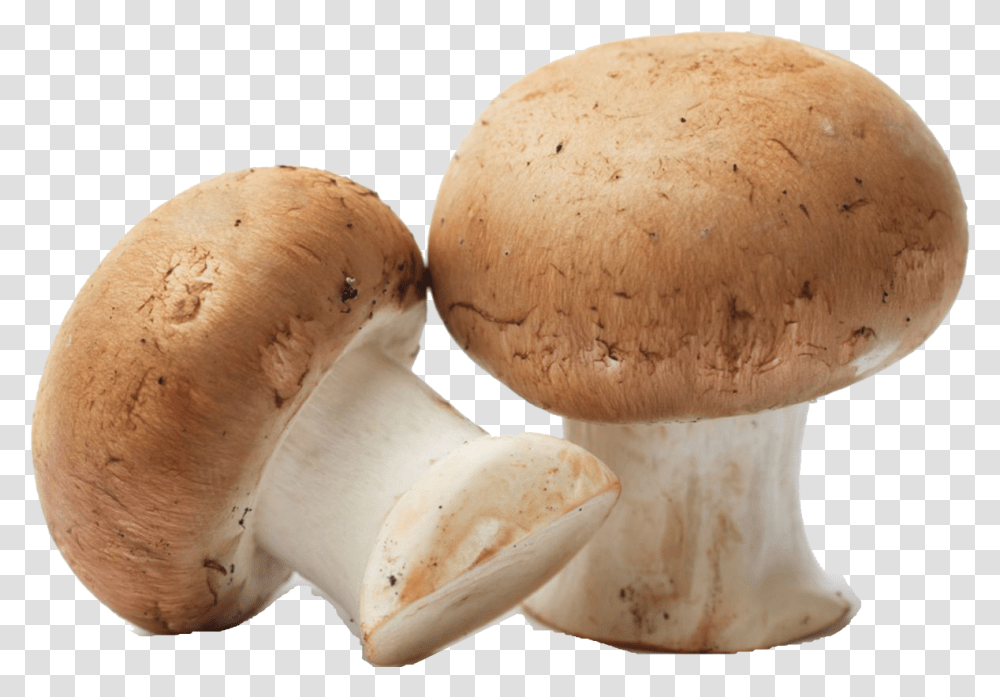 Mushroom Free Pic Mushroom, Plant, Fungus, Agaric, Amanita Transparent Png