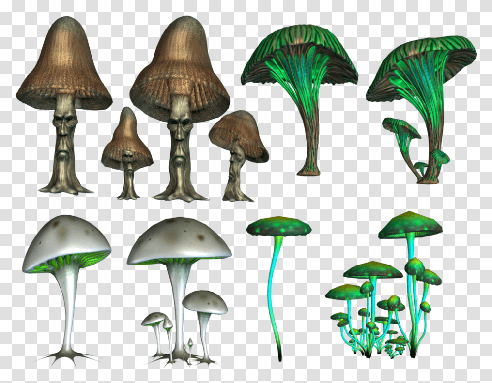 Mushroom Image Arts Psilocybin Mushrooms, Plant, Agaric, Fungus, Amanita Transparent Png