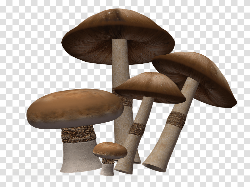 Mushroom Image Background Mushroom, Plant, Fungus, Amanita, Agaric Transparent Png