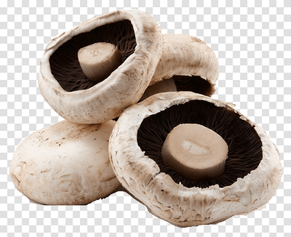 Mushroom Image File Shiitake, Fungus, Plant, Agaric, Amanita Transparent Png