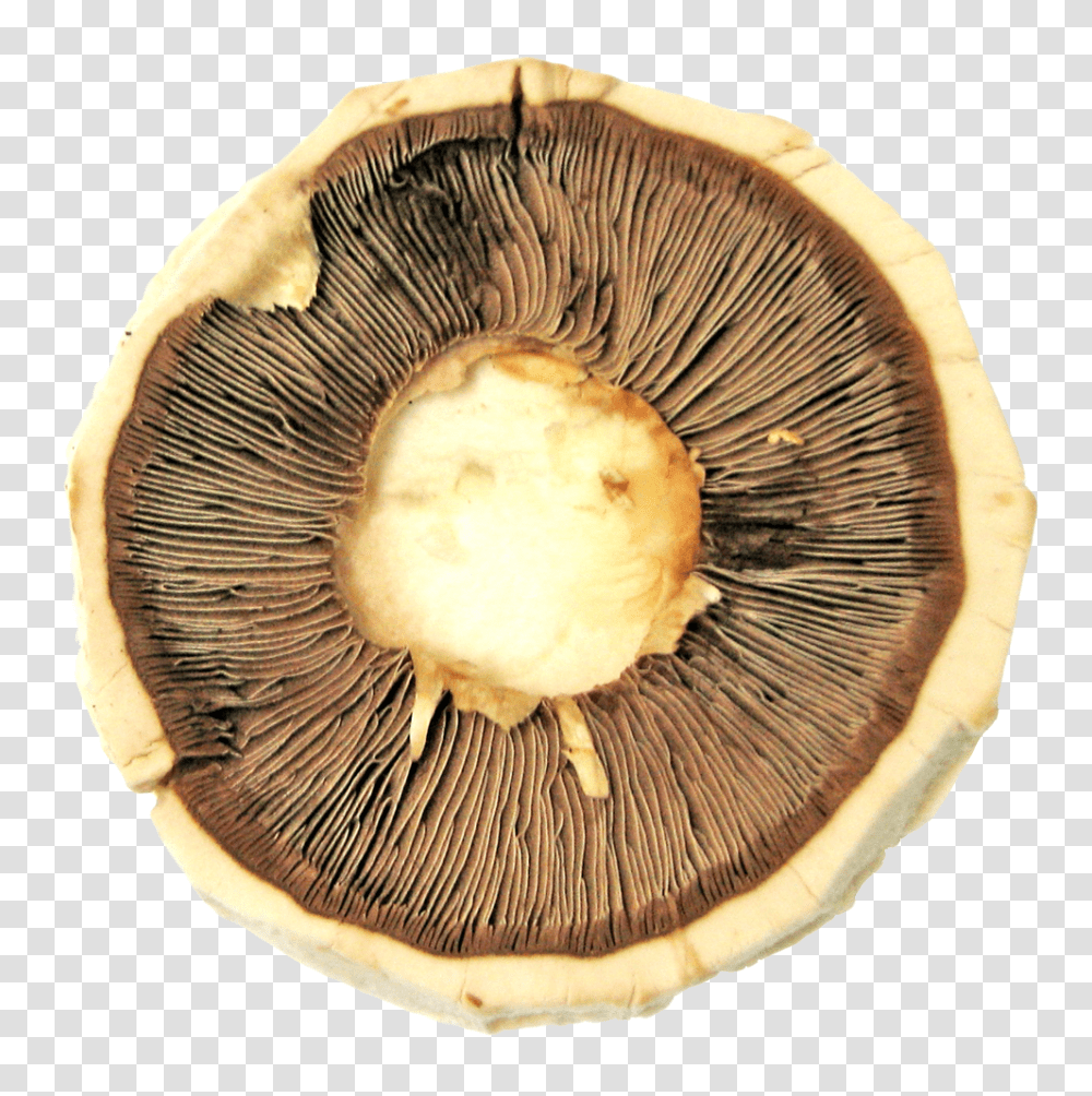 Mushroom Image, Food, Plant, Amanita, Agaric Transparent Png