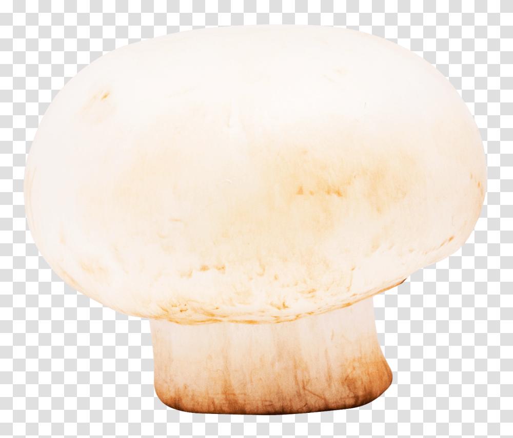 Mushroom Image, Food, Plant, Egg, Fungus Transparent Png