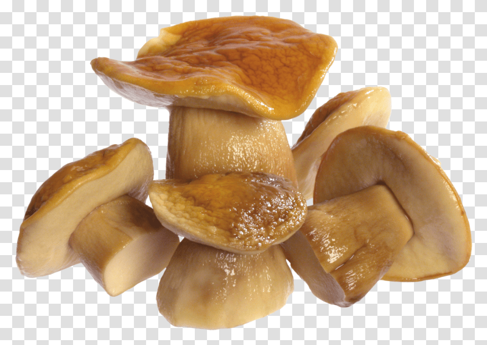 Mushroom Image, Fungus, Plant, Agaric, Bread Transparent Png