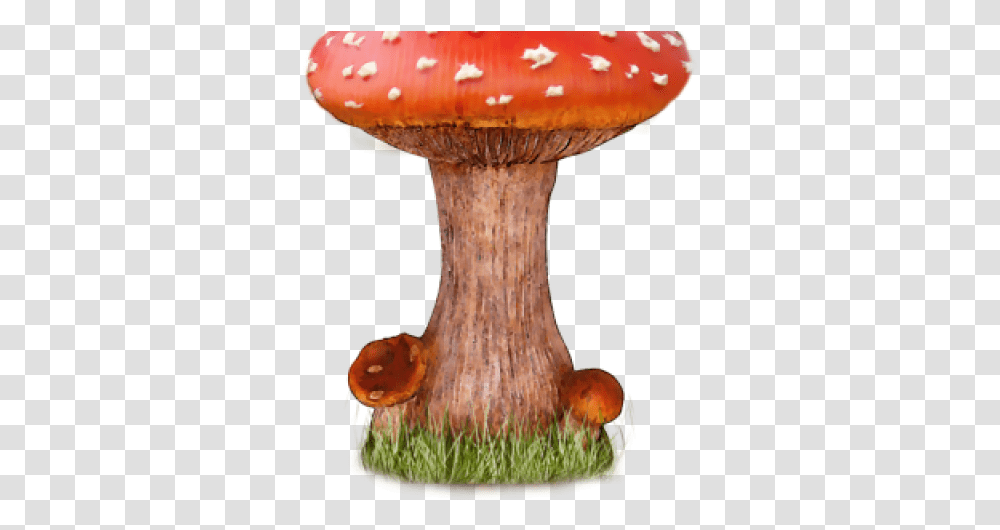Mushroom Images Amanita Mushroom, Fungus, Plant, Agaric Transparent Png
