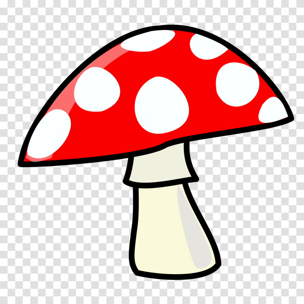 Mushroom, Lamp, Plant, Agaric, Fungus Transparent Png