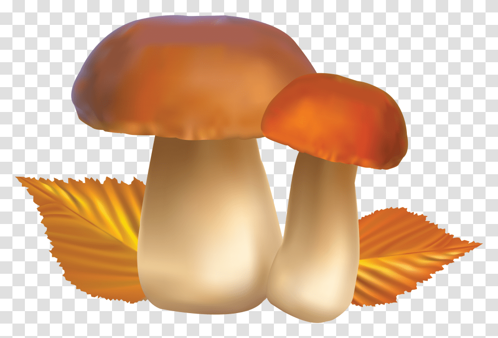 Mushroom, Nature, Plant, Agaric, Fungus Transparent Png