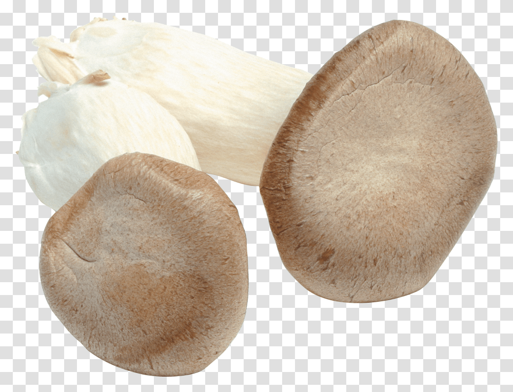 Mushroom, Nature, Plant, Bread, Food Transparent Png