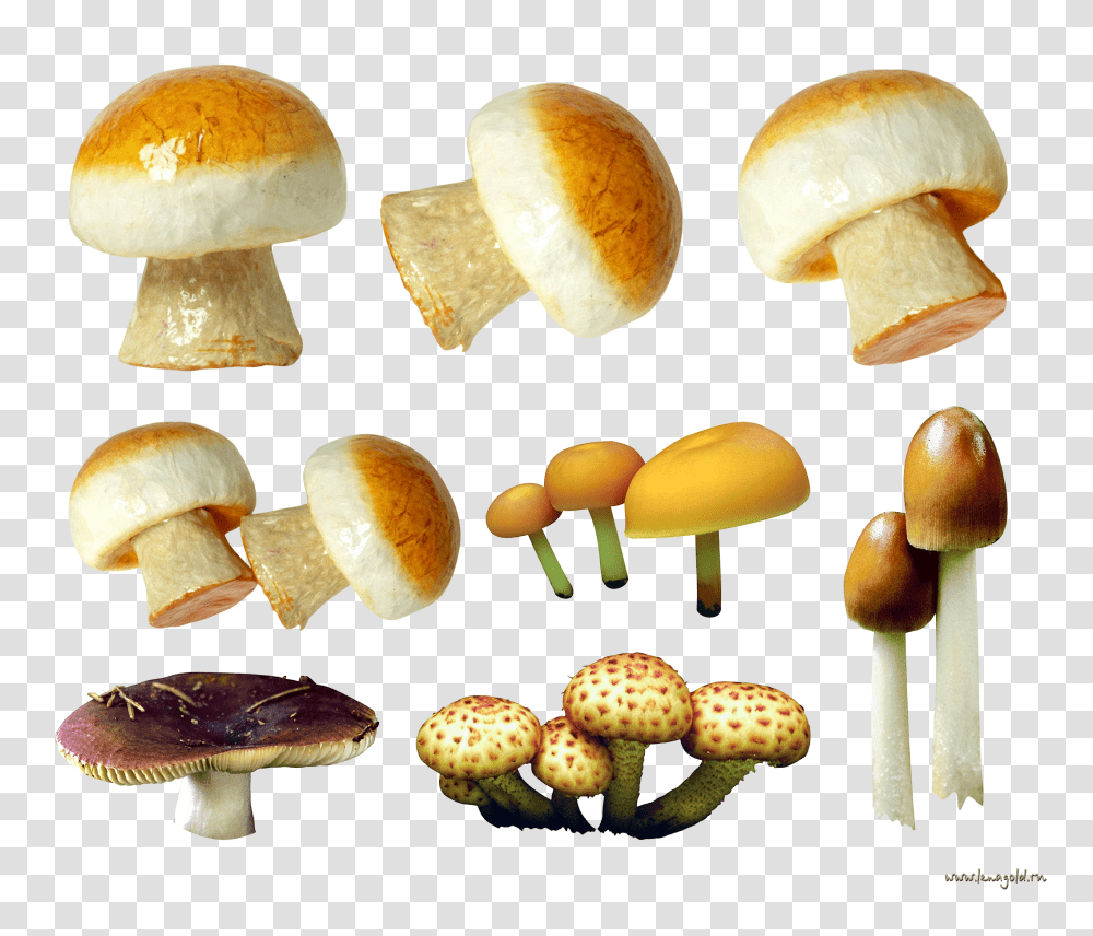Mushroom, Nature, Sweets, Food, Bread Transparent Png