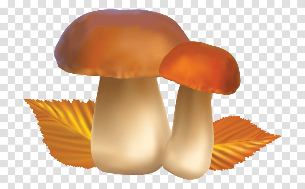 Mushroom, Plant, Amanita, Agaric, Fungus Transparent Png