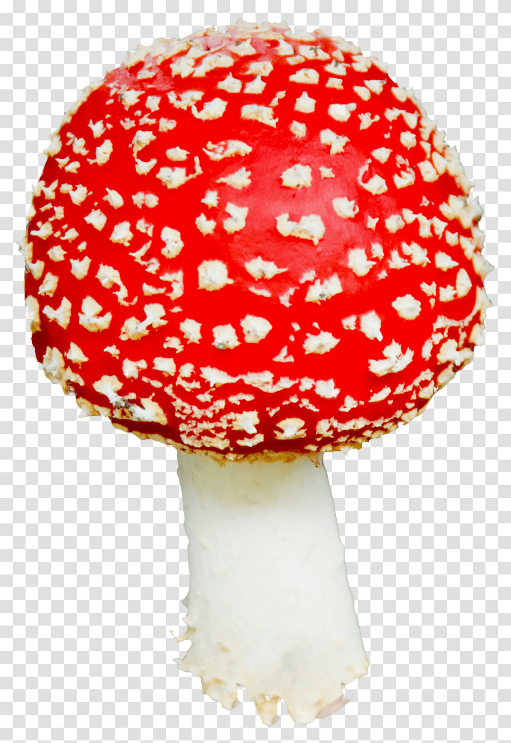 Mushroom, Plant, Fungus, Amanita, Agaric Transparent Png