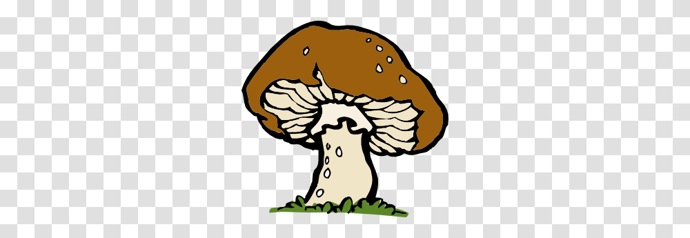 Mushroom, Plant, Fungus, Amanita, Agaric Transparent Png