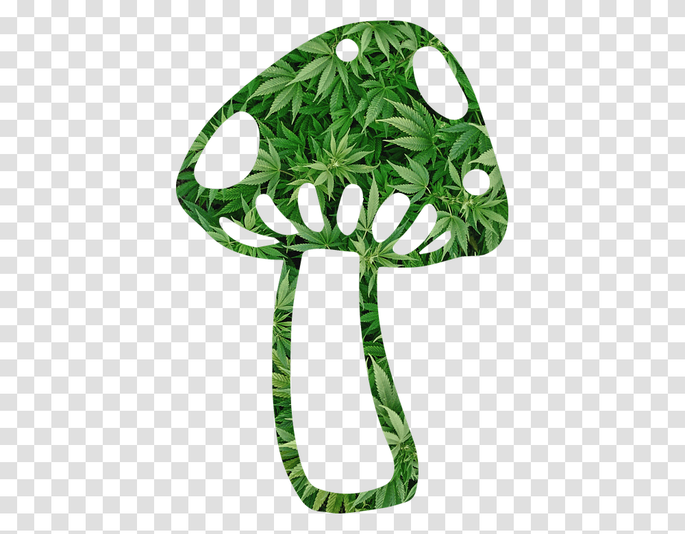 Mushroom Shroom Weed Fungi Fungus Psychedelic Mushroom And Weed, Plant, Leaf, Green, Tree Transparent Png
