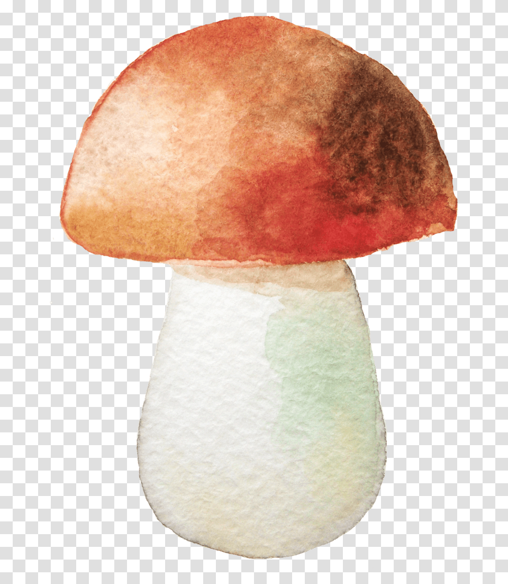 Mushroom Watercolor, Plant, Agaric, Fungus, Amanita Transparent Png
