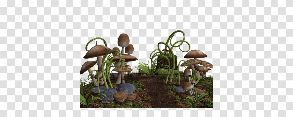 Mushrooms Nature, Plant, Soil, Fungus Transparent Png