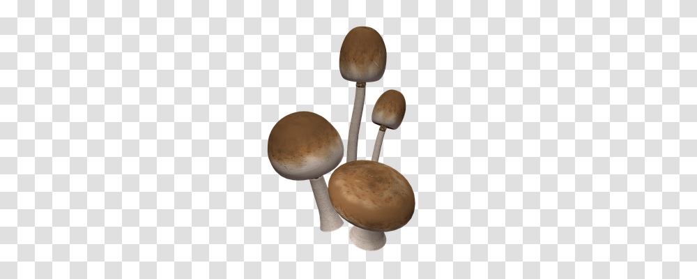 Mushrooms Nature, Plant, Fungus, Agaric Transparent Png