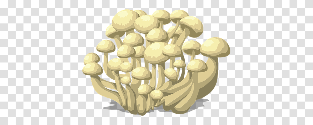 Mushrooms Nature, Plant, Fungus, Chandelier Transparent Png
