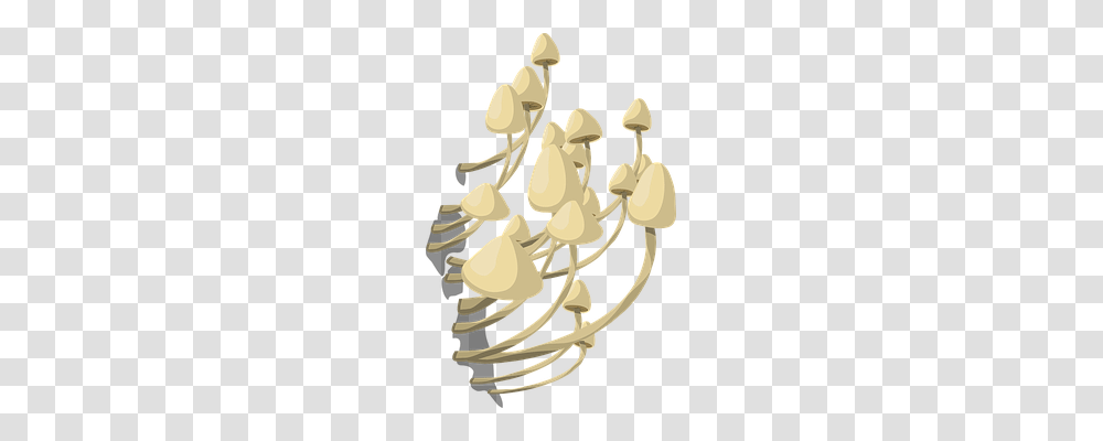 Mushrooms Nature Transparent Png