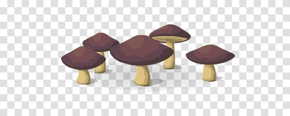 Mushrooms Nature, Plant, Amanita, Agaric Transparent Png