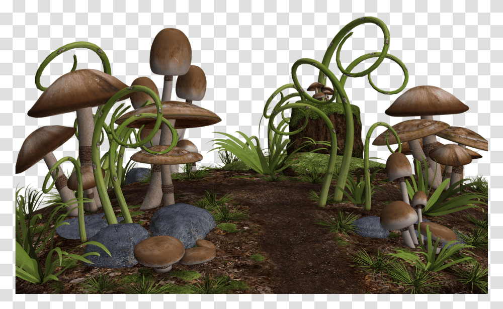 Mushrooms Along Path Fantasy Mushrooms, Plant, Fungus, Agaric, Amanita Transparent Png