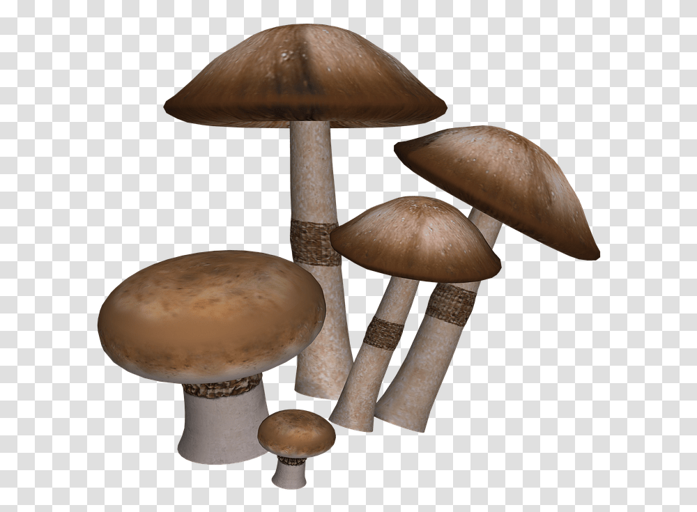 Mushrooms Collection Mushrooms, Plant, Fungus, Amanita, Agaric Transparent Png