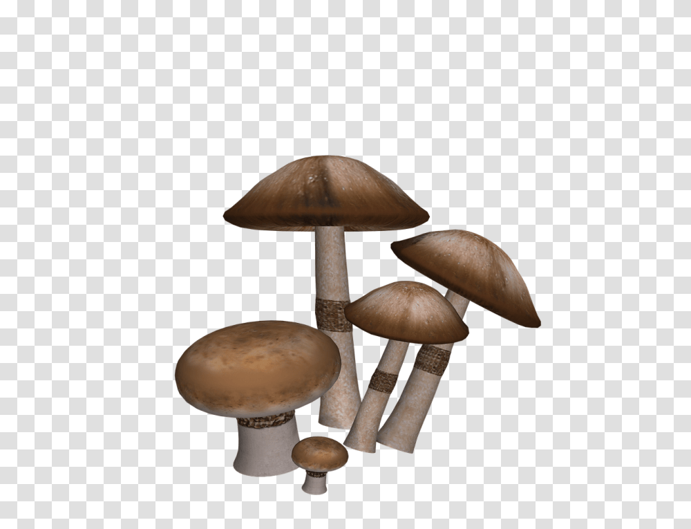 Mushrooms Collection, Plant, Fungus, Amanita, Agaric Transparent Png