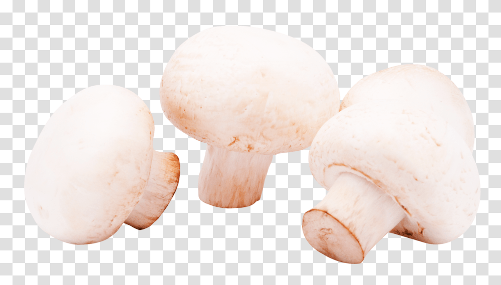 Mushrooms Image, Food, Plant, Fungus, Agaric Transparent Png