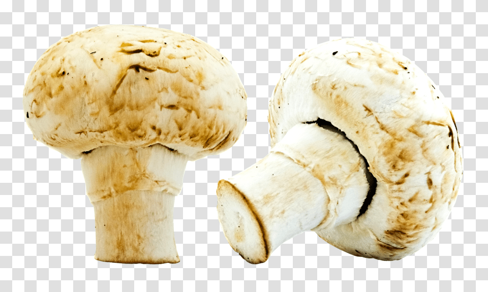 Mushrooms Image, Food, Plant, Fungus, Agaric Transparent Png