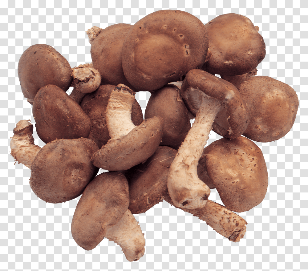 Mushrooms Image Shiitake Transparent Png