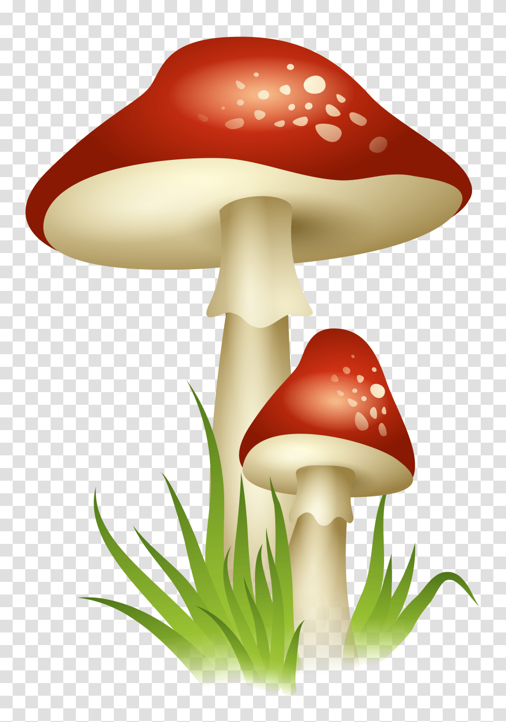 Mushrooms, Lamp, Plant, Agaric, Fungus Transparent Png
