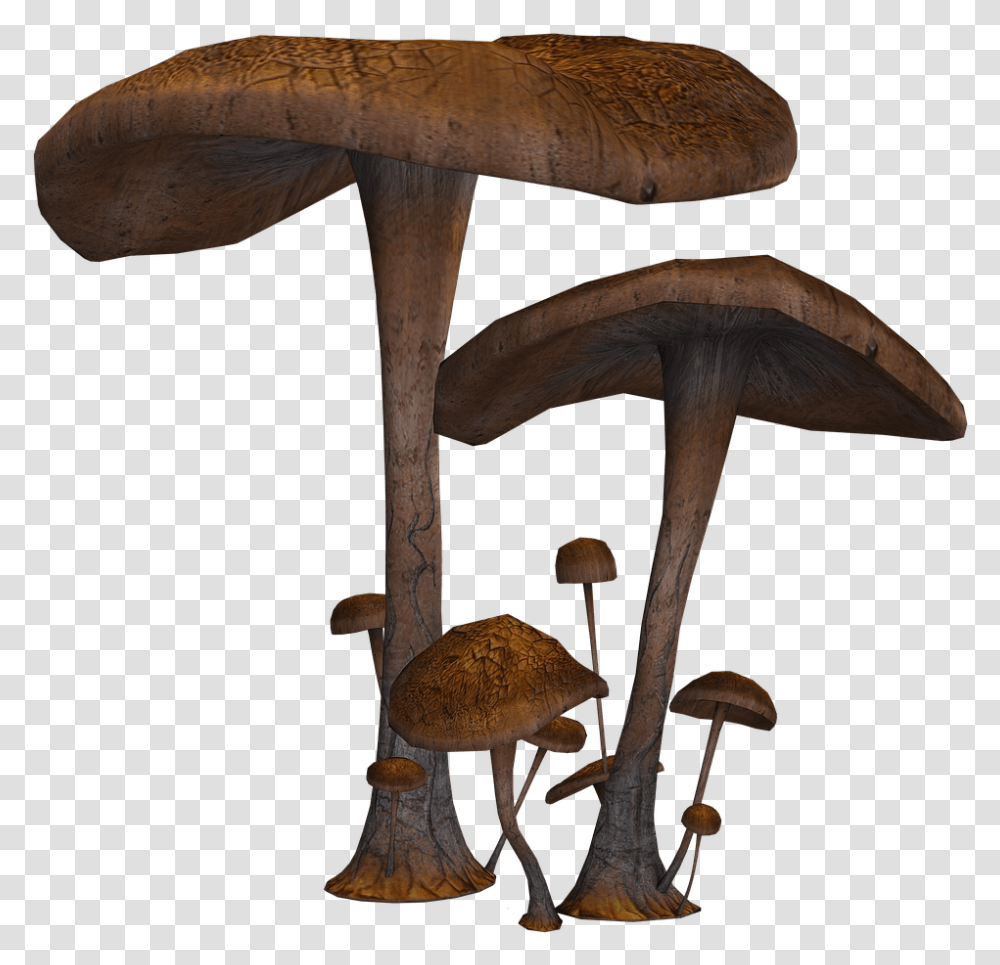 Mushrooms Large And Small Fantasy Mushrooms, Plant, Fungus, Amanita, Agaric Transparent Png