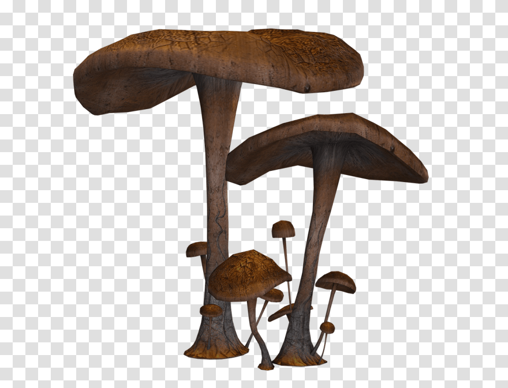 Mushrooms Large And Small, Plant, Fungus, Amanita, Agaric Transparent Png