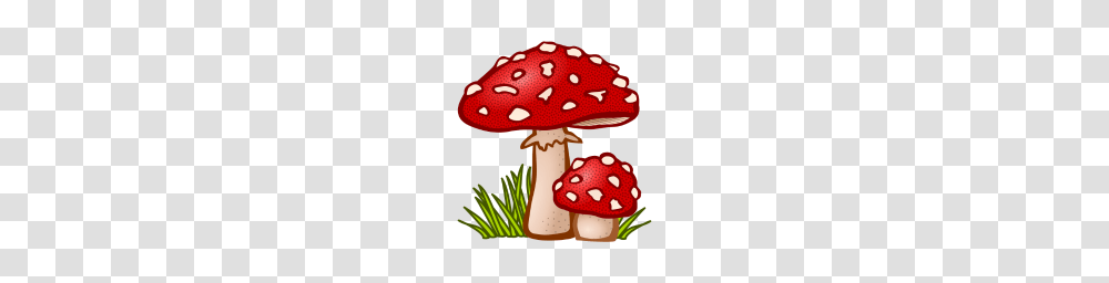 Mushrooms Mushrooms Fungi Veggie Vegetables, Plant, Agaric, Fungus, Amanita Transparent Png