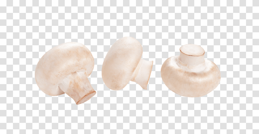 Mushrooms, Plant, Fungus, Agaric, Amanita Transparent Png