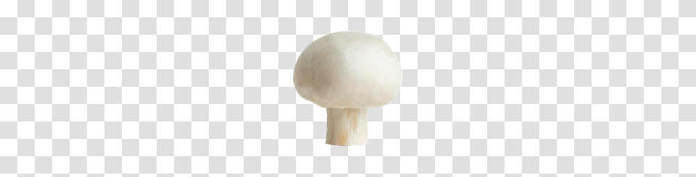 Mushrooms Truffles Loblaws, Lamp, Plant, Amanita, Agaric Transparent Png