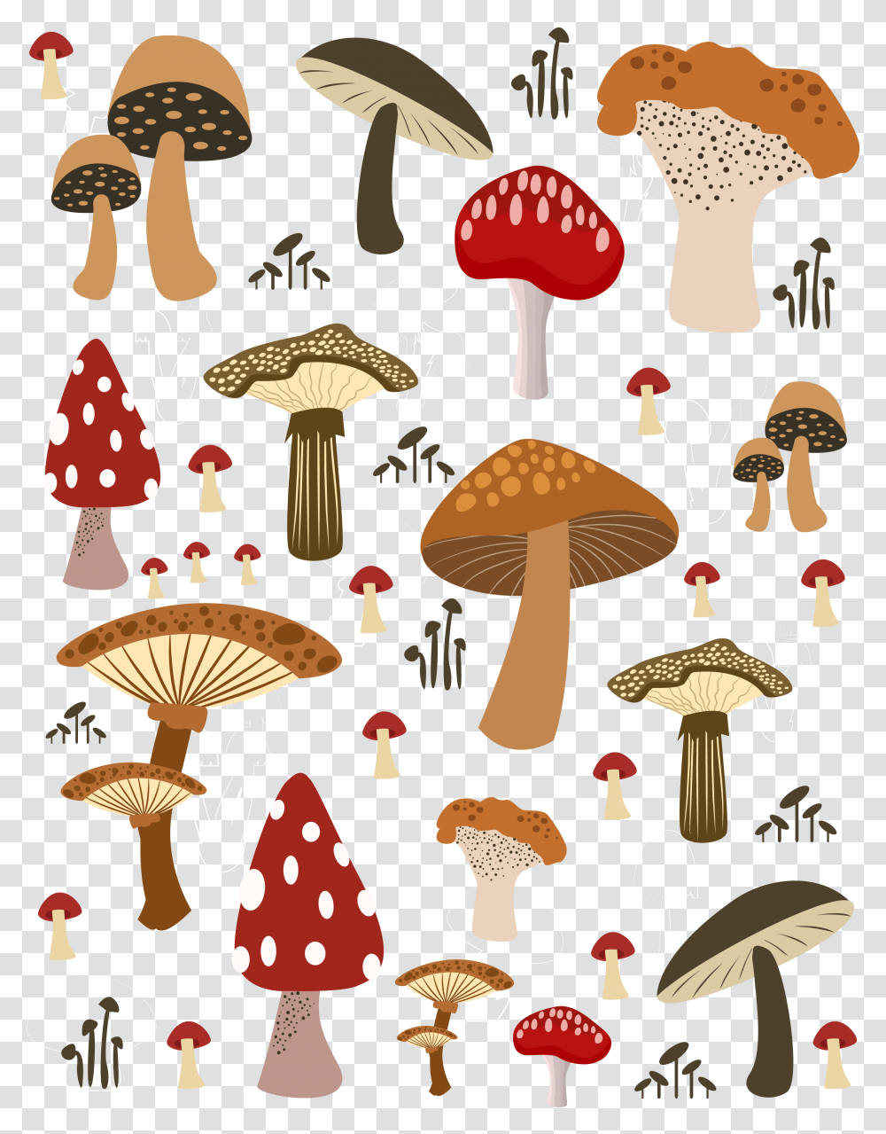 Mushrooms Vector Button Mushroom Mushroom Illustration, Architecture, Building Transparent Png