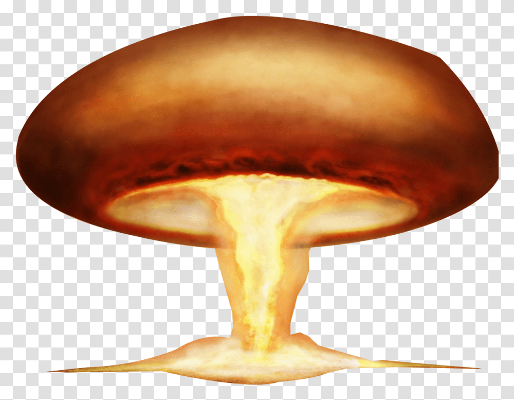 Mushrooms Vector Explosion Atompilz, Fungus, Nuclear, Head, Outdoors Transparent Png
