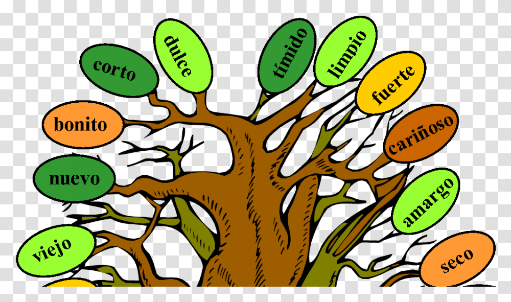 Music And Spanish Fun Tree Of Adjectives Model Of Adjective Tree, Plant, Food, Pollen Transparent Png