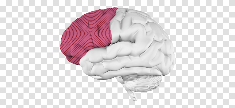 Music And The Brain What Happens When You're Listening To Frontal Lobe Only, Hand, Pillow, Cushion, Person Transparent Png